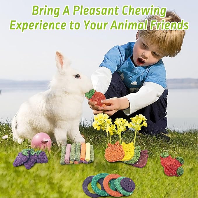 Fhiny 27 PCS Natural Bunny Chew Toys Molar Rabbit Toys Contain Timothy Grass Pumpkin Beets Purple Potatoes Carrot Hamster Treats for Chinchillas Guinea Pigs Mice Gerbils Teeth Grinding-PawvioPets