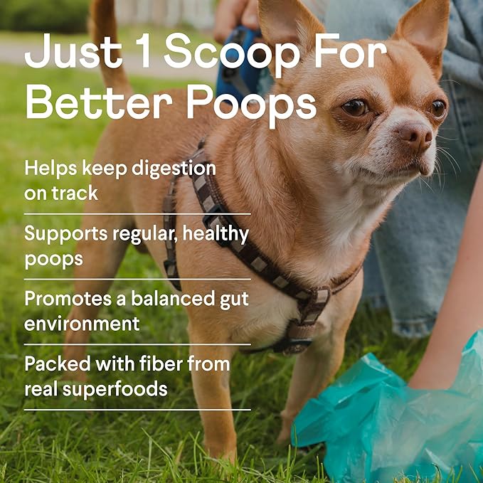 Finn Pumpkin Plus: Daily Digestive Support & Fiber-Rich Topper for Dogs | Promotes Regularity & Gut Health with Superfoods-PawvioPets