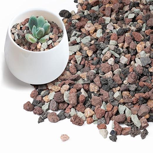 5lbs Terrarium Rocks for Pots Indoor, Succulent, Cactus, Bamboo, Bonsai Tree, 1/5 Inch Rocks for Planters Drainage, Mixed Color Small Lava Rocks for Top-Dressing-PawvioPets