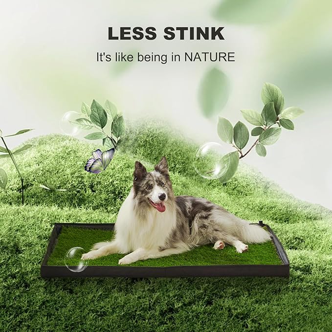 Dog Grass Pad with Foldable Dog Litter Box, Large Liner Base (33”×23”) for Balcony, 2 Artficial Grass Pee Pads for Dogs, Pee Pad Holder, Potty Training-PawvioPets