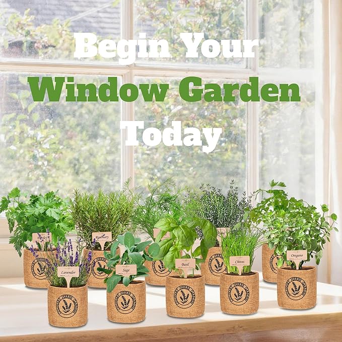 10 Indoor Herb Garden Kit- Burlap Pots, Organic Seeds, Herb Garden Planter Indoor Kit, Easy Window & Kitchen Herbs Growing Kit, Cilantro, Basil, Sage, Oregano, Parsley, Dill, Chives etc.-PawvioPets