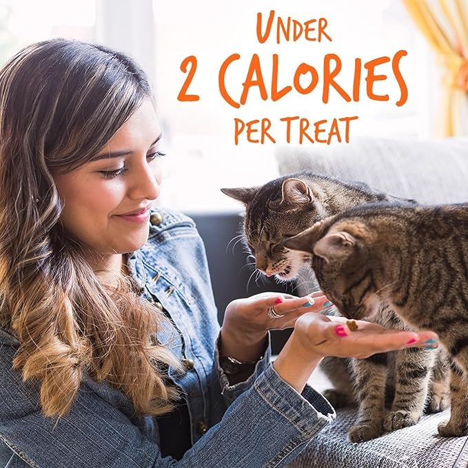 Fruitables Cat Treats, Healthy Treats For Cats, Low Calorie and Packed with Protein, Crunchy Biscuits, Free of Wheat, Corn and Soy, Made with Real Tuna and Pumpkin, 2.5oz-PawvioPets
