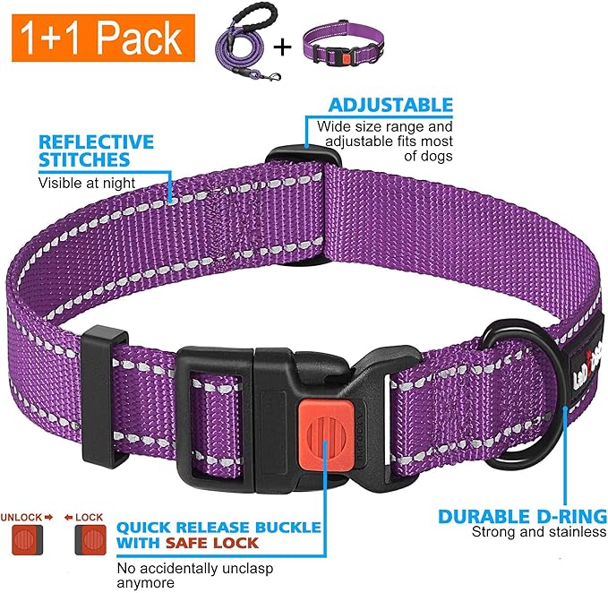 Heavy Duty Dog Leash - Comfortable Padded Handle, 5 ft Long - Dog Leashes for Small Medium Large Dogs (Leash+Collar S Neck 13.5"-16", Purple)-PawvioPets