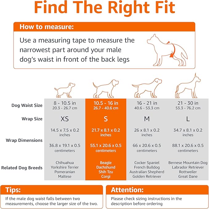 Amazon Basics Male Dog Diapers, 30 Count, Small, Ultra Absorbent Disposable Wrap with Secure Fit, Leakproof and Comfortable-PawvioPets