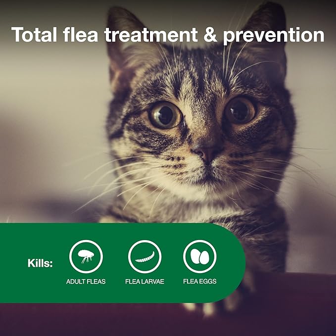 Advantage II Small Cat Vet-Recommended Flea Treatment & Prevention | Cats 5-9 lbs. | 8-Month Supply-PawvioPets