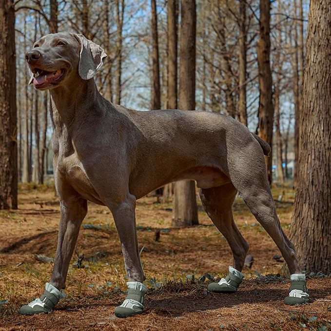 Dog Shoes, Waterproof Dog Boots & Paw Protectors with Anti-Slip Sole, 4pcs/Set Pet Dog Booties, Reflective Dog Shoes for Small Medium Large, Winter Snowy Summer Hot Pavement (Green, 5# (M))-PawvioPets