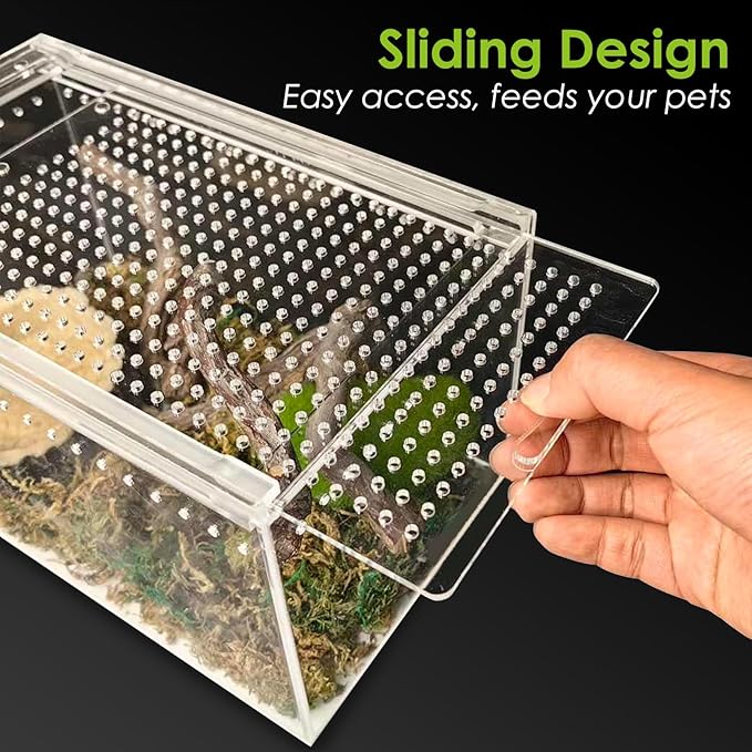 Acrylic Reptile Terrarium Enclosure 9.8" x 5.9" x 5.9" Magnetic Tarantula Breeding Box Transparent Insect Habitat for Jumping Spider Hermit Crab Lizard Sling Isopods Horned Frog Snake Gecko-PawvioPets