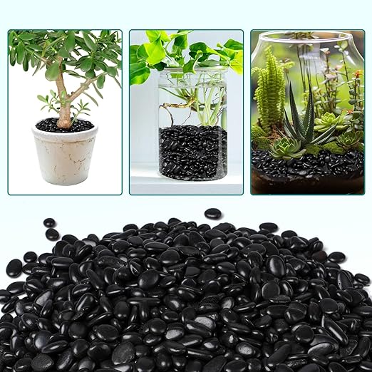 5 lbs Black Pebbles for Indoor Plants, 3/8" Small Rocks for Plants Indoor, Succulent, Bamboo, Vase, Decorative Black River Rocks Pea Gravel, Highly Polished-PawvioPets