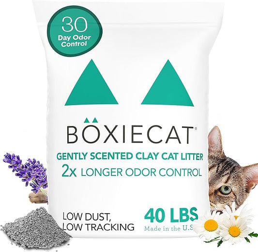 Boxiecat Gently Scented Premium Clumping Clay Cat Litter, 40-Pounds-PawvioPets