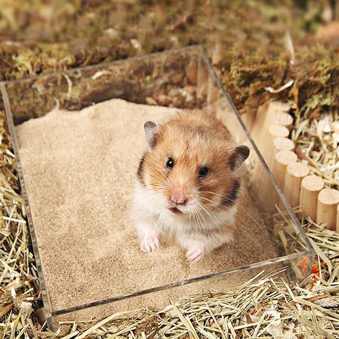 DR.DUDU Hamster Bath Sand, 12lb Dust Free Desert Sand or Potty Litter Sand for Hamster Chinchillas Gerbil Syrian Mice Small Animals (Beige)-PawvioPets