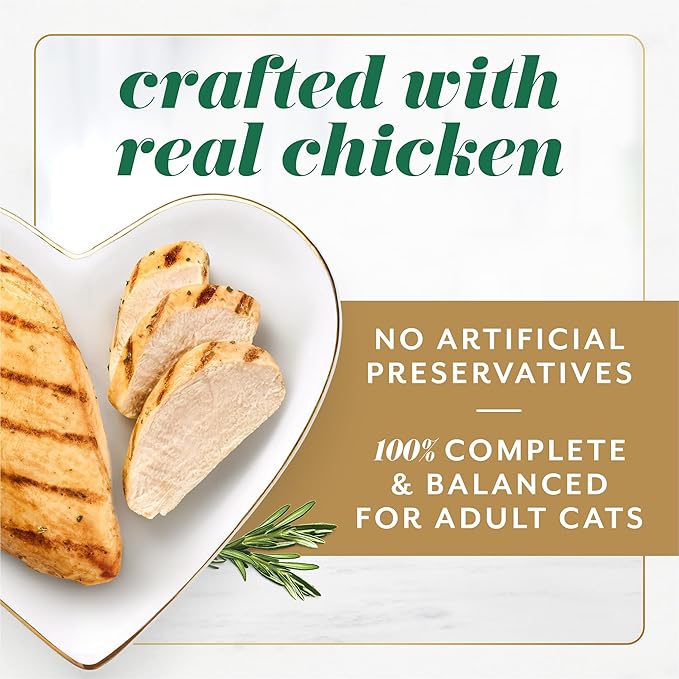 Fancy Feast Gems Pate Cat Food Mousse With Chicken and a Halo of Savory Gravy Cat Food - (Pack of 8) 4 oz. Boxes-PawvioPets