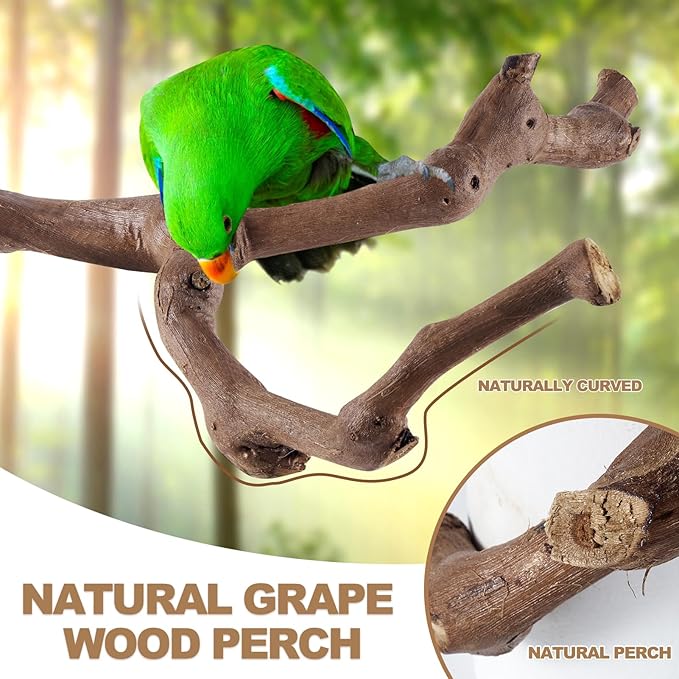 6-Piece Bird Perch Set - Natural Wood Grape Sticks, Paw Grinding Forks, Bird Stand & Toys for Parakeets, Cockatiels, Conure, Budgies-PawvioPets