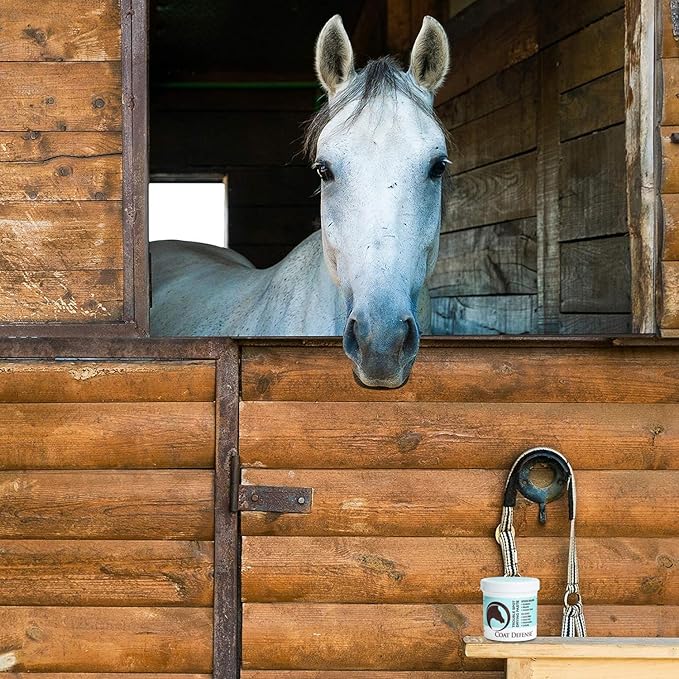 COAT DEFENSE Trouble Spot Drying Paste for Horses - Natural Equine Wound Care That Provides Safe & Effective Relief from Scratches, Sweet Itch, Summer Sores, Proud Flesh, Mud Fever, Girth Rot (24 Oz)-PawvioPets