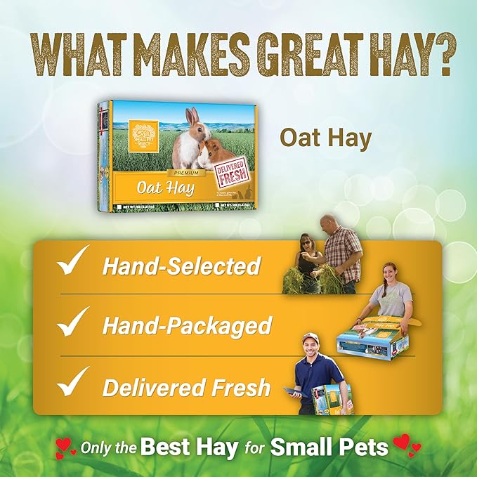 Small Pet Select Oat Hay Pet Food, 2 Lb.-PawvioPets