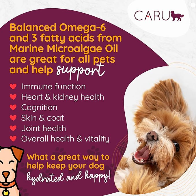 Caru - Classics Chicken Stew for Dogs - Healthy Wet Dog Food or Food Topper - Balanced Omega Blend - 12.5 oz Cartons - Pack of 4-PawvioPets