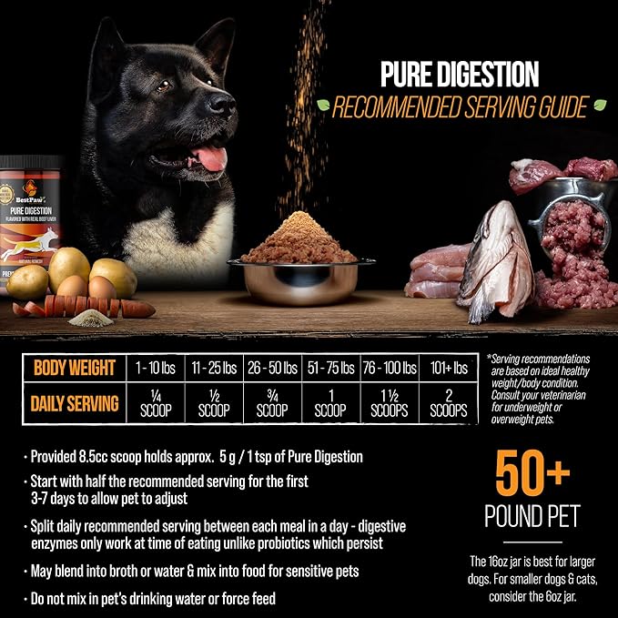 Dog & Cat Premium Probiotic Prebiotic & Digestive Enzymes 5 Billion CFU Organic Turmeric Coconut Oil Pure Pumpkin & Kelp for Healthy Bowels Gut & UTIs Beef Liver Flavor-PawvioPets