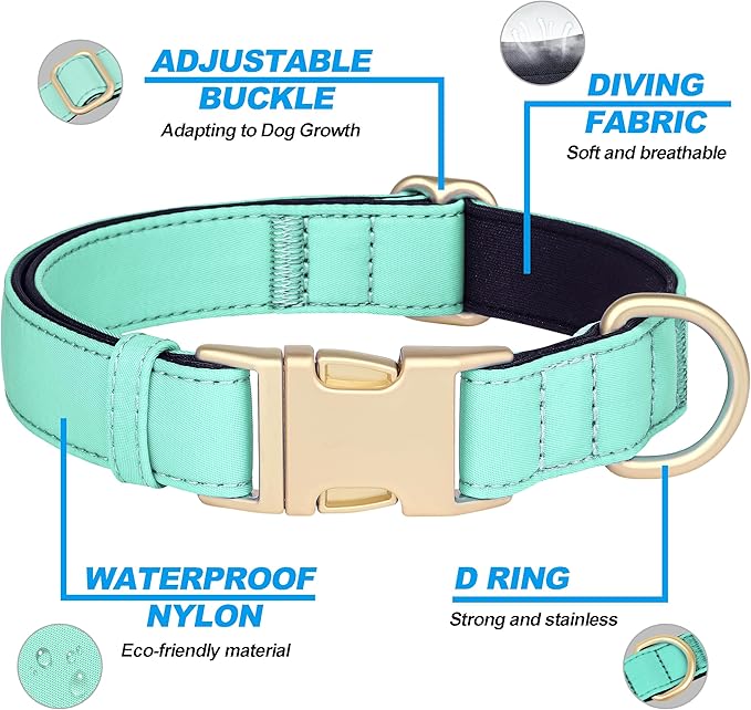 Didog Soft Padded Dog Collar for Large Dogs, Colorful and Durable Pet Collar with Quick Release Buckle, Light and Breathable for Daily Walking, Green, L-PawvioPets