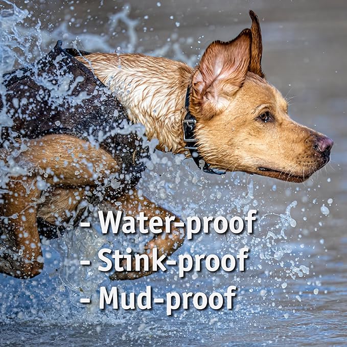 Biothane Custom Dog Collar – Waterproof, Stink-Proof Personalized Collar with Name & Phone Number – Durable, Many Sizes and Colors – Assembled in USA (Royal Blue)-PawvioPets