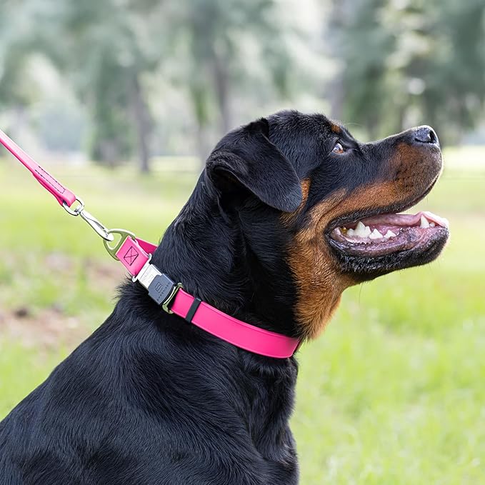 Dogline Biothane Waterproof Dog Collar with Herm Sprenger Black Stainless Steel Quick Release Buckle – Heavy Duty Tactical Durable Collar for Dogs – Comfortable and Safe Pet Collar W 1" L 15-25" Pink-PawvioPets