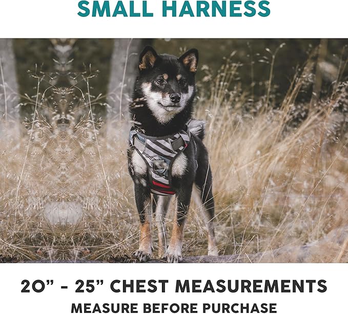 Embark Adventure Dog Harness, Reflective Trim No Pull Dog Harnesses for Small Sized Dogs - Military Grade Nylon, Front Clip with Gel Lined Handle.-PawvioPets