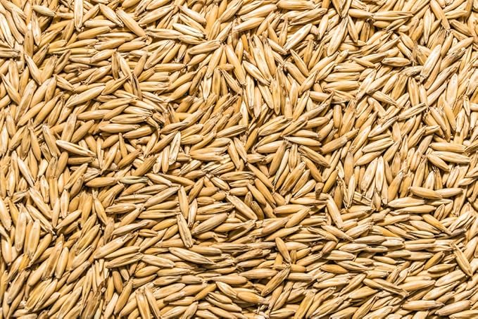 Thunder Acres Non GMO, Certified Organic, Oat Seed (2 lb.)-PawvioPets