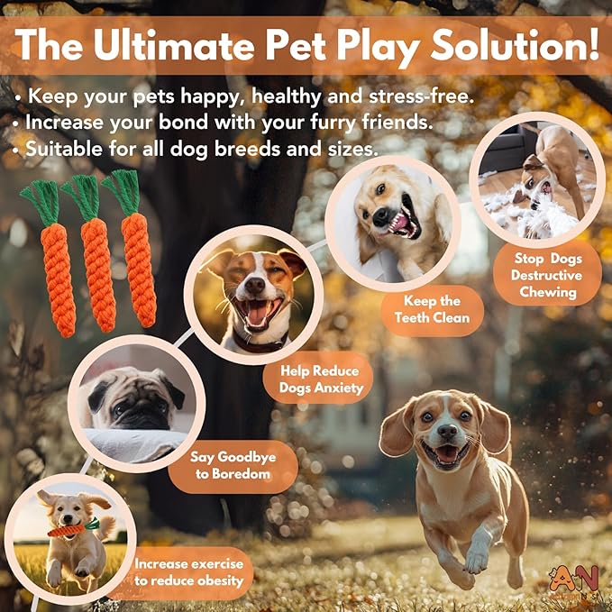 3PCS Orange Woven Pet Chew Set, Puppy Teething Chews, Dog Chew Treats, Cat Teething Playset, Safe Braided Chews for Pets, Durable & Interactive-PawvioPets