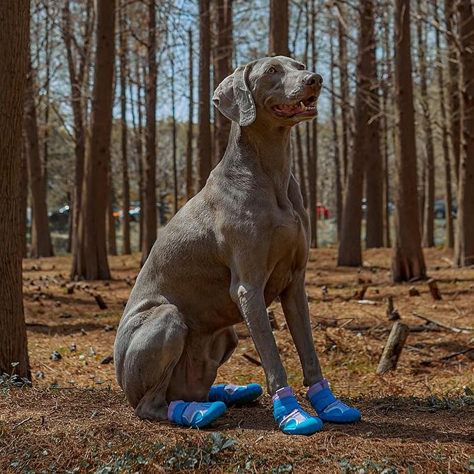 Dog Shoes, Waterproof Dog Boots & Paw Protectors with Anti-Slip Sole, 4pcs/Set Pet Dog Booties, Reflective Dog Shoes for Small Medium Large, Winter Snowy Summer Hot Pavement (Blue, 3# (XS))-PawvioPets