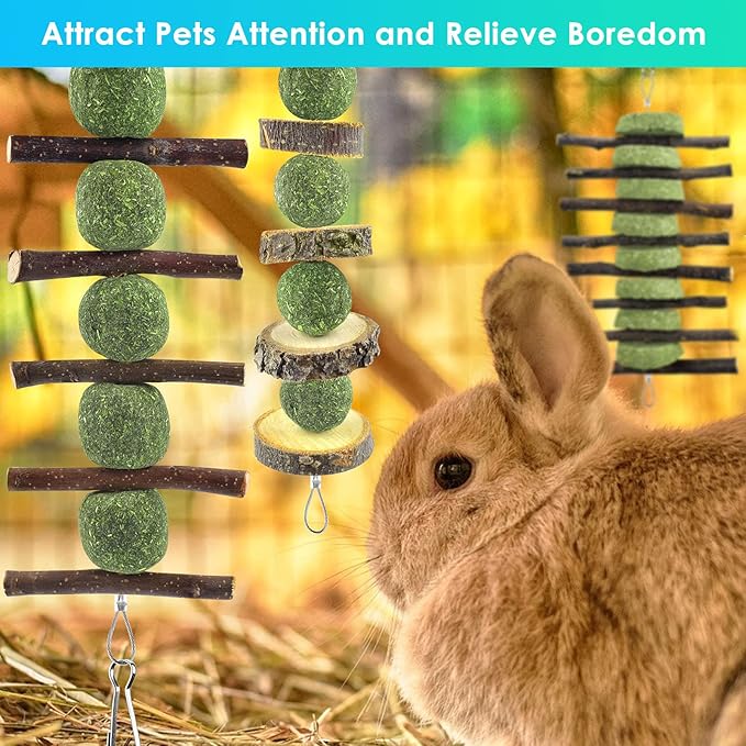 ERKOON Bunny Chew Toys, Rabbit Chew Toys for Teeth Grinding, Improve Dental Health, 100% Natural Apple Wood Timothy Grass Cake Treats for Rabbits Guinea Pigs Chinchillas Bunnies Hamsters (3 Pcs)-PawvioPets