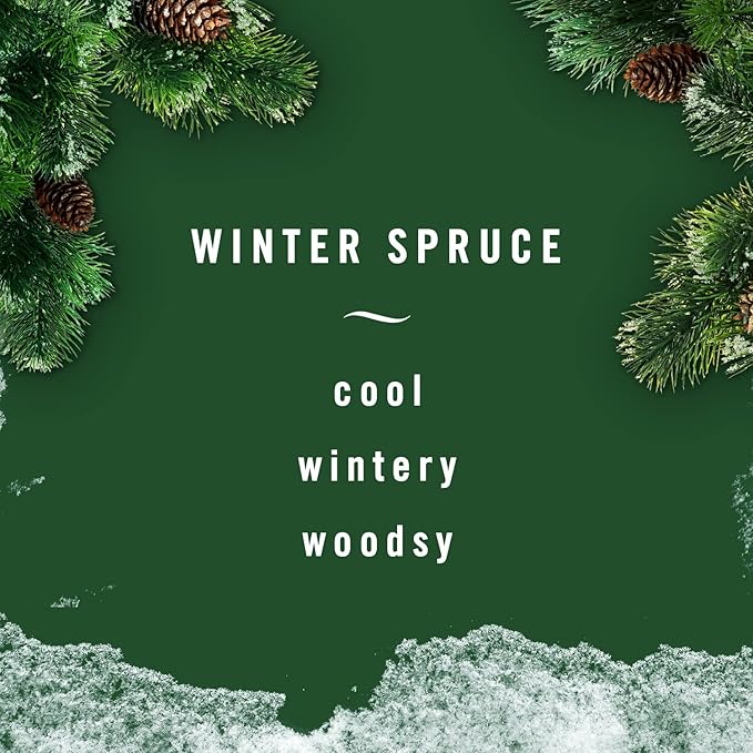 Febreze Small Spaces Air Freshener Limited Edition Scents (Winter Spruce, 2 Pack)-PawvioPets