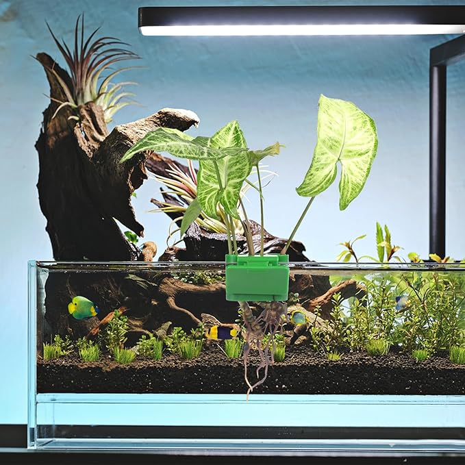 2Pcs 3 Holes Upgraded Aquatic Plant Cup Aquarium Plant Holder for Tank, Hanging Aquarium Plant Holder, Aquarium Aquatic Plant Cultivation, Aquarium Plant Decoration.-PawvioPets