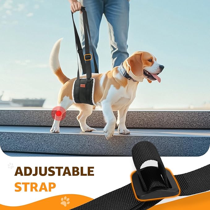 Adjustable Dog Lift Harness, Dog Sling for Large Dogs Lift Support and Rehab Harness for Weak Rear Legs, Soft Hind Leg Support Helps Senior, Injured, Disabled and After ACL Surgery Dogs(Black,Medium)-PawvioPets