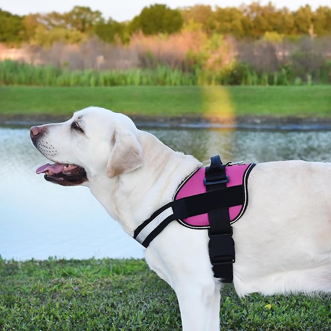 Dogline Dog Harness, Reflective No-Pull Adjustable Vest with Handle, Breathable No-Choke Harness for Small, Medium or Large Dogs Room for Patches Girth 27 to 34 in Pink-PawvioPets