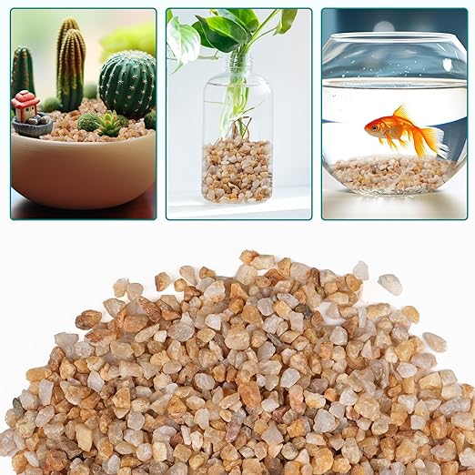 5 lbs Coarse Sand for Plants, 1/5 Inch Horticultural Sand for Vases, Aquariums, Terrarium, Fish Tank, Drainage Rocks for Potted Plants, Bamboo, Succulent, Crafts, Cactus-PawvioPets