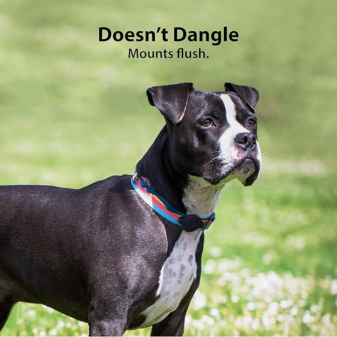 Elevation Lab TagVault™ Compact AirTag Dog Collar Mount - IP68 Waterproof, Doesn't Dangle, Fits All Width Collars-PawvioPets