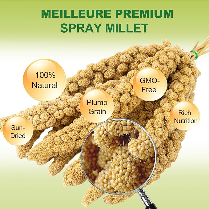 2LB Spray Millet Bird Treat for Parakeets, Natural Sun-Dried Birds Millet Spray for Parrots, Finches, Cockatiel, Budgie & Hamster, Bird Food Bulk-PawvioPets