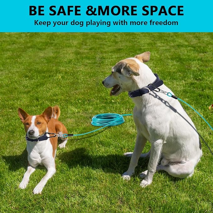 Dog Tie Out Cable 50FT-500Lbs,Heavy Duty Dog Leads Line for Yard with Swivel Hook,Medium Large Dogs Leash&Chains for Outside,Rust Chew Proof Dogs Run Cable for Outdoor Camping(Teal, 50FT)-PawvioPets