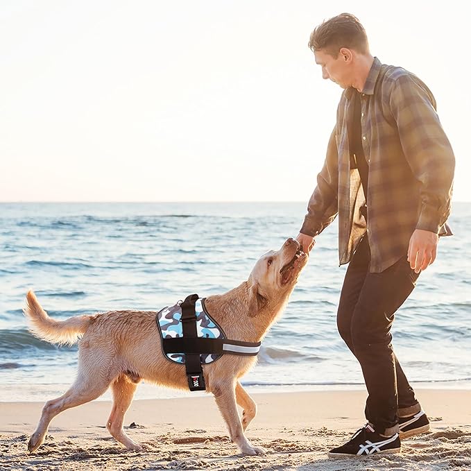 Dogline Dog Harness, Reflective No-Pull Adjustable Vest with Handle for Walking, Training, Breathable, No - Choke Harness for Small, Medium or Large Dogs Room for Patches Girth 22"-28" in Blue Camo-PawvioPets