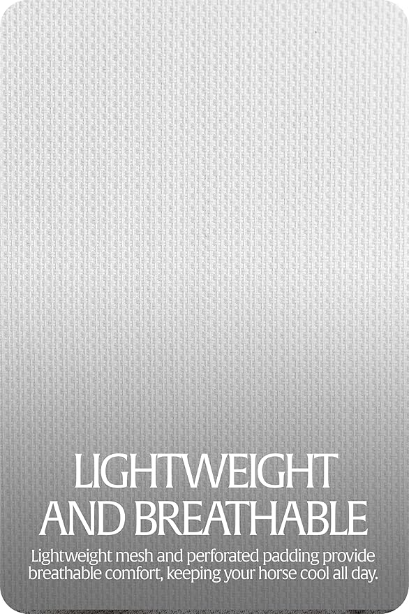 Equinavia Algard Soft Mesh Horse Fly Mask with Ear Protection and 45 UPF Rating | No Eye Irritation & UV Protection - Silver/Turquoise - Pony-PawvioPets