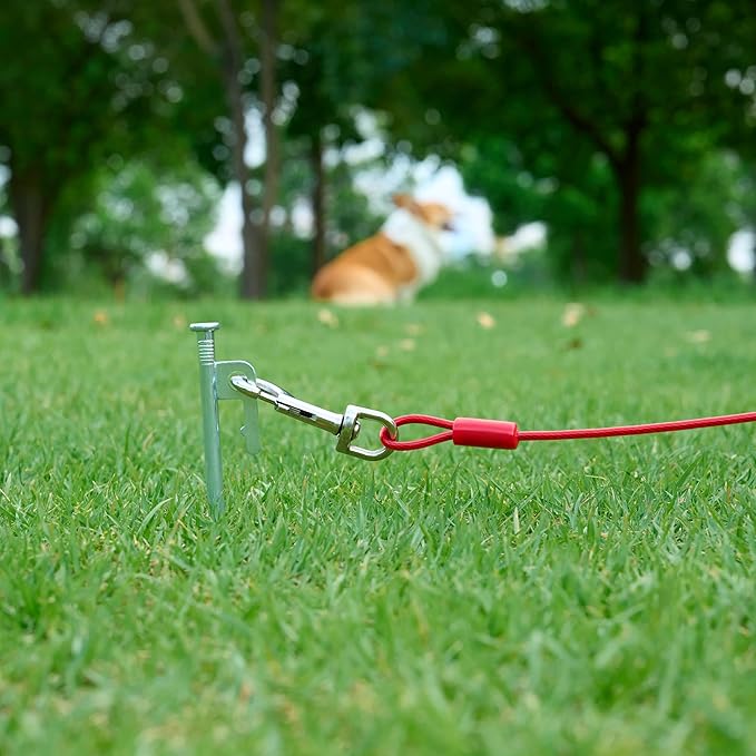 Amazon Basics Tie-Out Cable For Dogs Up to 56.7kg/914.4cm (Pack of 1), Red-PawvioPets