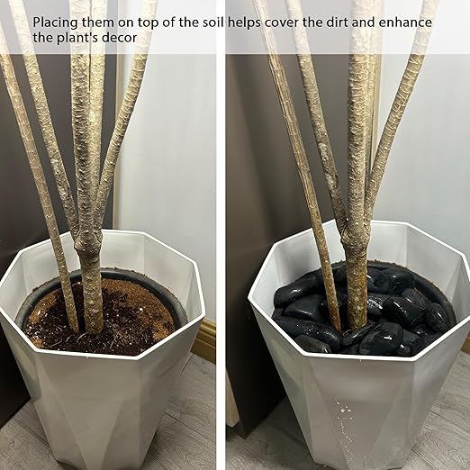 8LB 1"-2" Black River Rocks for Plants, Polished Pebbles for Garden Landscaping, Planters, Aquariums, Vase Fillers – Indoor & Outdoor Decor-PawvioPets