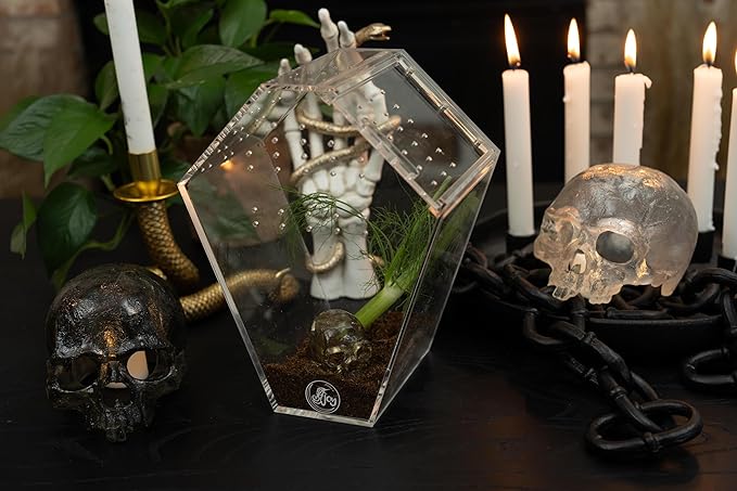 Coffin Shaped Jumping Spider Enclosure 9.5”x7.5”x5” Tarantula Enclosure Reptile Terrarium w/Sliding Magnetic Door. Great Reptile Tank Acrylic Aquarium Spider Box for Terrestrial or Arboreal Animal.-PawvioPets