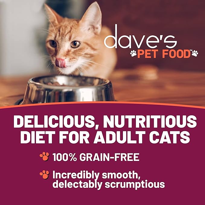 Dave's Pet Food Grain Free Wet Cat Food (Shredded Chicken in Gravy), Made in Canada Naturally Healthy Canned Cat Food, 13.2 oz (12 Pack)-PawvioPets