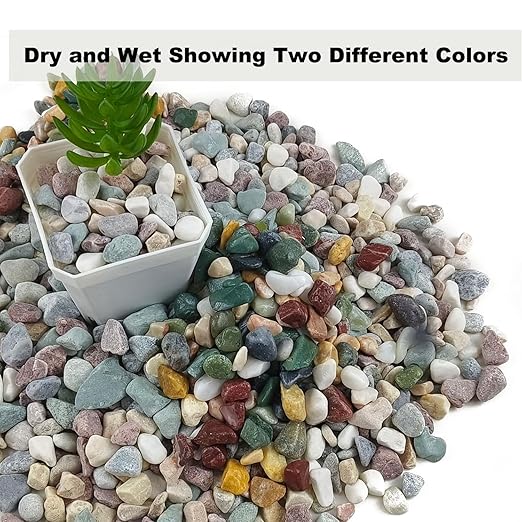 15LB Succulents Rocks for Plants Cactus Gravel Pebbles for Fish Tank 1/2 Inch Natural River Rocks for Vase, Aquarium, Landscaping,Bonsai,Terrarium Pebbles, Mixed Color-PawvioPets