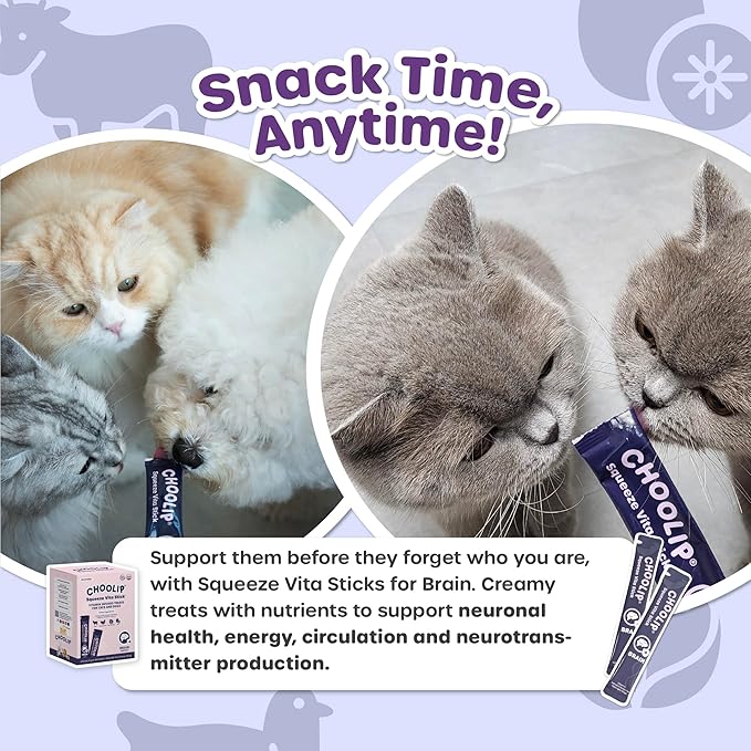 Grab & Go Squeeze Vita Stick Lickable Treats for Dogs & Cats. 49 Brain Support Sticks with Essential multivitamins. Soft and Tasty Paste for All Life Stages, Supporting Brain Health-PawvioPets