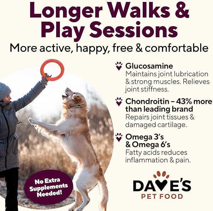 Dave's Pet Food Glucosamine Chondroitin for Dogs, Hip and Joint Support, Gluten-Free, Wet Senior Dog Food, 13.2 oz (Case of 12)-PawvioPets