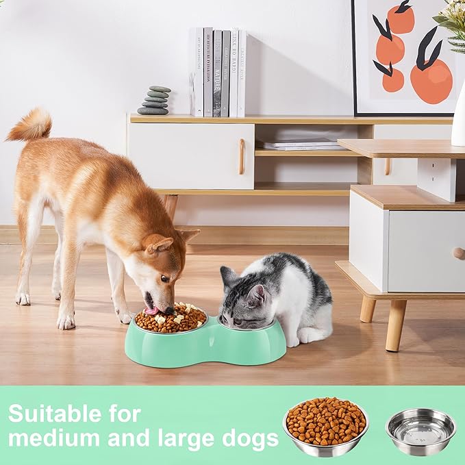 Elevated Dog Bowls Set - Non-Slip Raised Pet Feeder with Medium (2 Cups) & Large (4 Cups) Stainless Steel Bowls - Includes Durable Resin Stand for Puppies, Adult Dogs & Cats - Green-PawvioPets