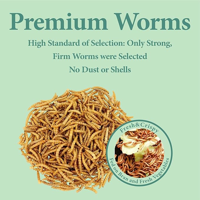 10LB Dried Mealworms, High Protein Meal Worms for Poultry, Wild Birds, Hedgehogs, Hamsters, Reptiles, Great Chicken Food, Bird Food-PawvioPets