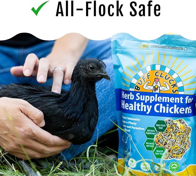 BuffClucks Herb Supplement for Backyard Chickens - Natural Chicken Treats, Poultry Feed Botanical Mix, Plant-Based Coop Snacks for Daily Wellness, Feather Quality, Egg Production, USA (20 LB)-PawvioPets