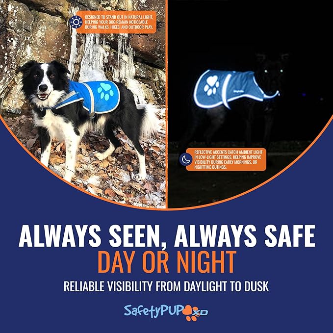 Dog Reflective Vest – Hi-Vis Fluorescent Visibility That Helps to Safeguard Your Pet On/Off Leash in Urban & Rural Areas (Blue, Medium)-PawvioPets