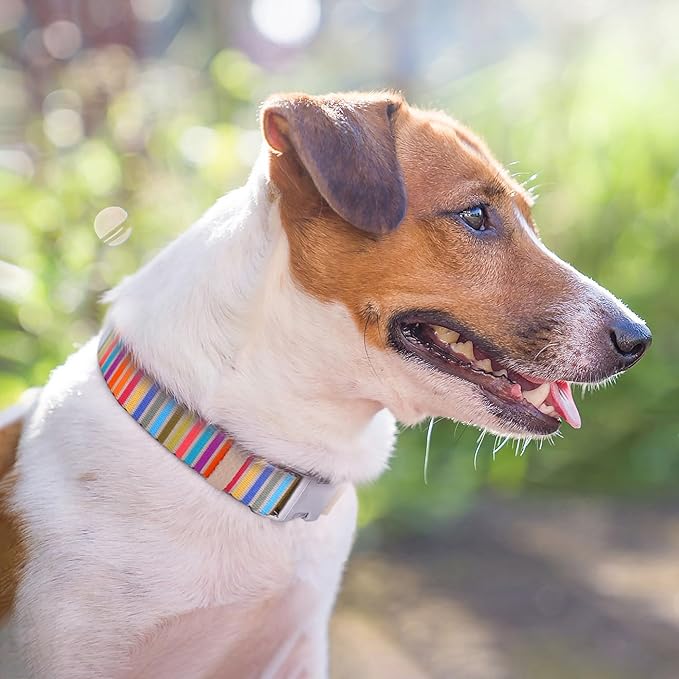 AirTag Dog Collar for Small Medium Large Breed - Adjustable Cute Pattern Dog Collar with Airtag Holder - Soft Leather Tracker GPS Apple Air Tag Pet Collars (X-Small, 9"-12" Neck Fit, Serape)-PawvioPets